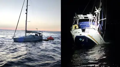Касатки потопили британскую парусную яхту в Гибралтарском проливе