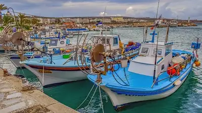 Более 25 туристов попали в больницу из-за экономии в отеле на Кипре