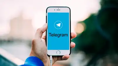 ООН назвал Telegram «местом для преступных группировок»