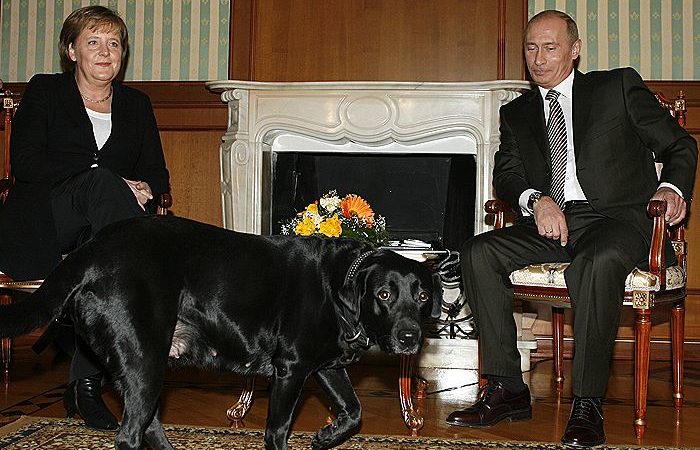 Песков из-за слов Меркель о встрече с лабрадором Путина допустил, что она не была настроена на диалог
