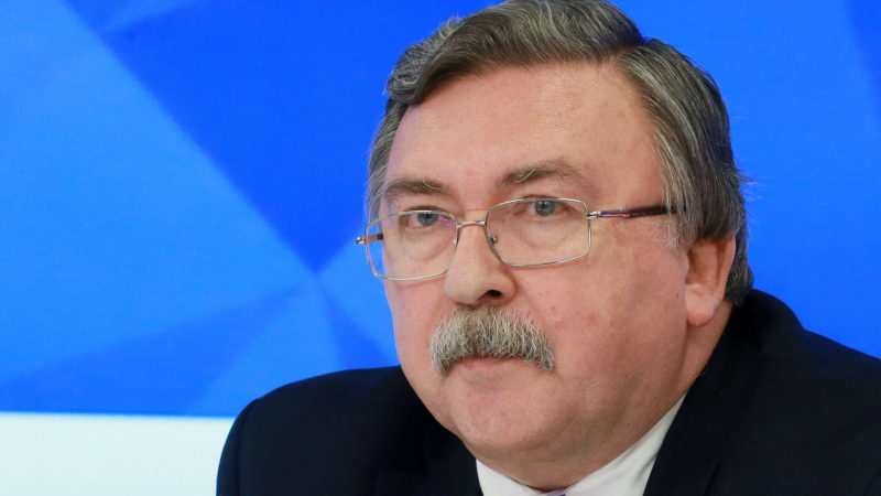 Ульянов обсудил с главой МАГАТЭ ситуацию на Украине
