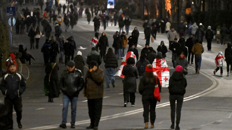 В Тбилиси завершилась акция протеста против приостановки переговоров с ЕС