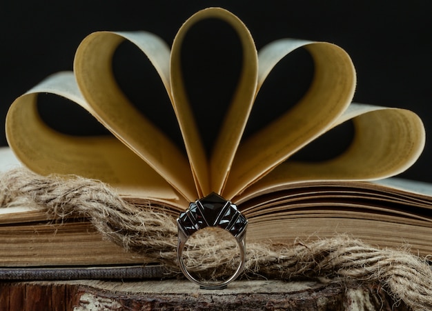 Большая история: книга недели для настоящих ценителей
